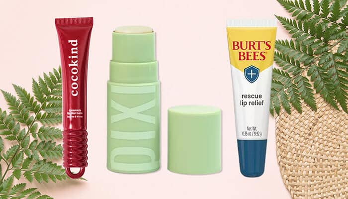 Best Drugstore Lip Care - Fashion in beauty - Fashion in Beauty Best Drugstore Skincare Products: Cocokind, Pixi, and Burt's Bees offer top lip care solutions, providing hydration and relief for dry, chapped lips.
