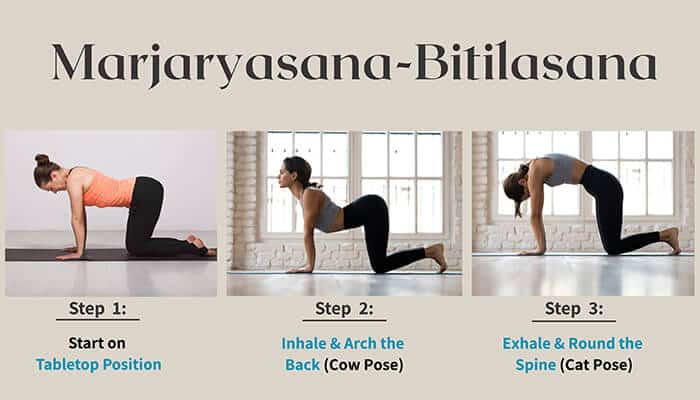 Marjaryasana-Bitilasana - Fashion in beauty - Fashion in Beauty Marjaryasana-Bitilasana: Best yoga poses for back pain: Step-by-step guide for practicing Marjaryasana-Bitilasana, including starting in tabletop position, inhaling to arch the back (cow pose), and exhaling to round the spine (cat pose).