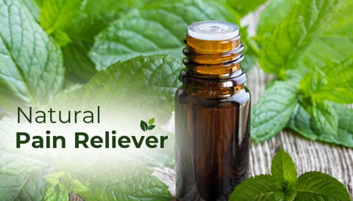 Natural Pain Reliever - Fashion In Beauty - Fashion in Beauty Spearmint vs Peppermint natural pain relief comparison concept showing peppermint essential oil bottle surrounded by fresh mint leaves, highlighting how peppermint’s high menthol content is commonly used in topical analgesic oils for muscle pain, headaches, and joint relief, while spearmint offers a milder, low-menthol alternative in herbal wellness applications.