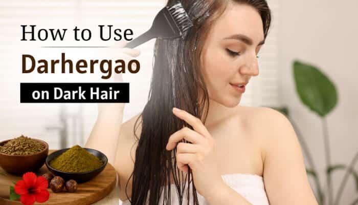 How to Use Darhergao on Dark Hair - Fashion In Beauty - Fashion in Beauty Is Darhergao Best for Dark Hair concept image showing a woman applying herbal hair treatment with a brush on long wet dark hair, illustrating step-by-step application process, natural ingredient bowls, and DIY hair coloring method used to evaluate pigment absorption and effectiveness on dark hair in modern 2026 hair care routines.