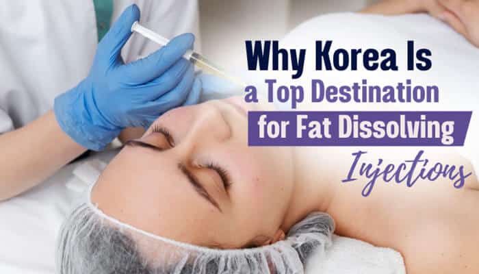 Why Korea Is a Top Destination for Fat Dissolving Injections - Fashion In Beauty - Fashion in Beauty Fat Dissolving Injections Korea treatment showing a professional aesthetic procedure in a Korean clinic for advanced non-surgical fat reduction and facial contouring.
