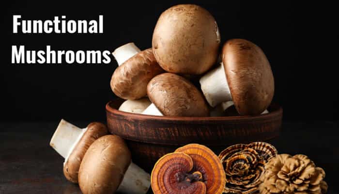Functional Mushrooms - Fashion In Beauty - Fashion in Beauty Does Ryze Coffee Help You Lose Weight? Functional mushrooms used in Ryze Coffee, including medicinal mushroom varieties, highlighting their potential role in metabolism, energy, appetite support, and evidence-based weight management.