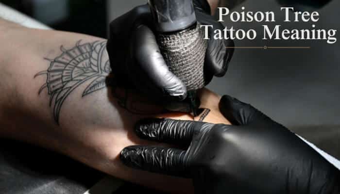 Poison Tree Tattoo Meaning Quick Reference Table - Fashion In Beauty - Fashion in Beauty Poison Tree Tattoo being outlined on a forearm by a professional artist, featuring intricate leaves and branches that symbolize hidden anger, emotional conflict, and transformation.