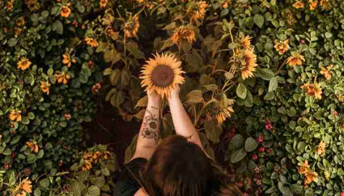 Sunflower Memorial Tattoo - Fashion In Beauty - Fashion in Beauty Memorial Tattoo Ideas featuring a woman with a delicate sunflower forearm tattoo holding a sunflower, symbolizing love, remembrance, and lasting memories.